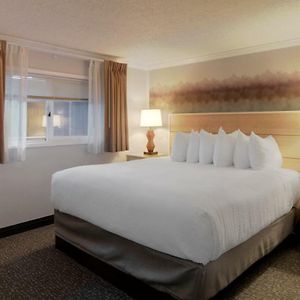 Pet Friendly Standard King Room